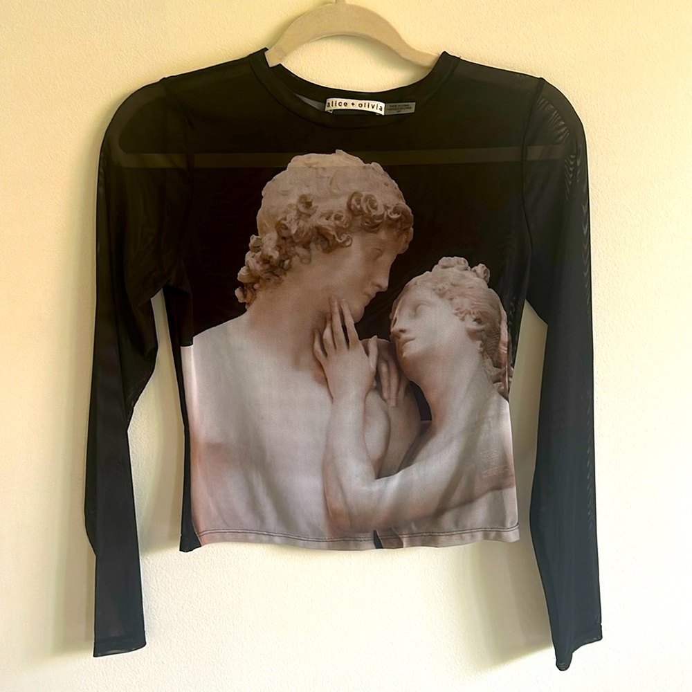 Alice and Olivia Mesh Top